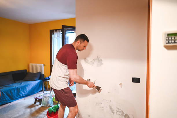 Best Professional Mold Removal  in Chetek, WI